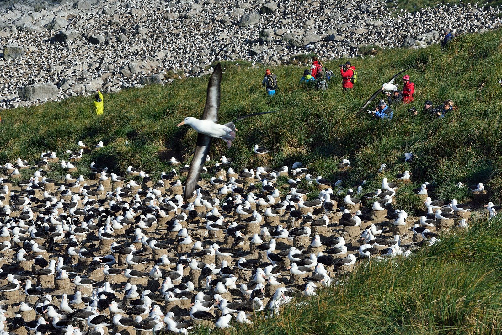 778 Inseln, die niemand auf der Rechnung hat: die Falklandinseln